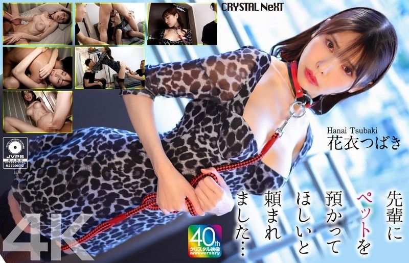 【4K】被前辈拜託要帮忙照顾宠物… 花衣椿