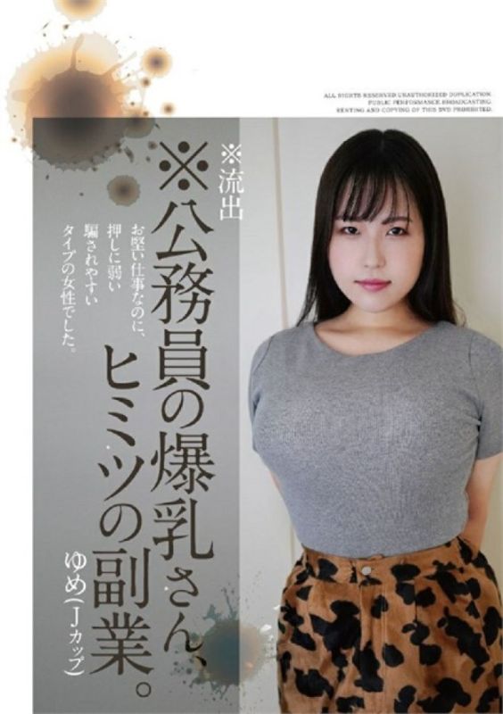 梦——公务员的副业