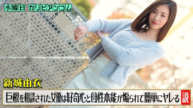 星期三的加勒比 ~阴茎太大而困扰，被谘询的女演员好奇心和母性本能被激发，很容易就可以搞上~ 新城由衣