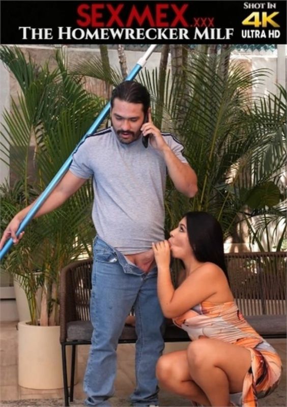 破坏家庭的熟妇